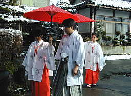 �ԎP�������ĎQ�i����V�Y