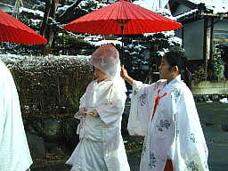 �����ĎQ�i����V�w