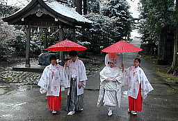 �萅�����I���A�q�a�֌�����