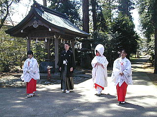 �ԎP�������ĎQ�i����V�Y