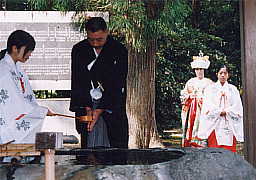 鳥居の手前で小揖
