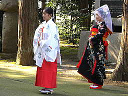 巫女と新婦