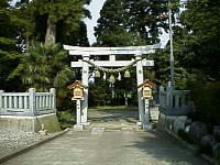 ̃Xibv