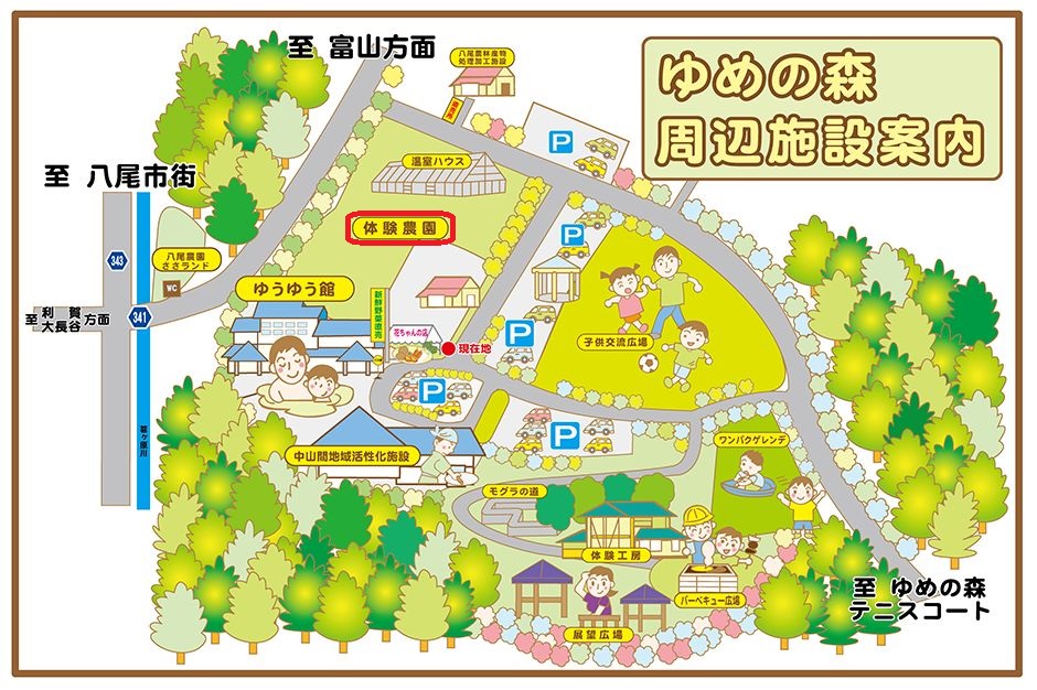 体験農園