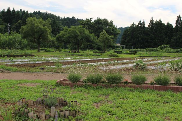 野菜農園