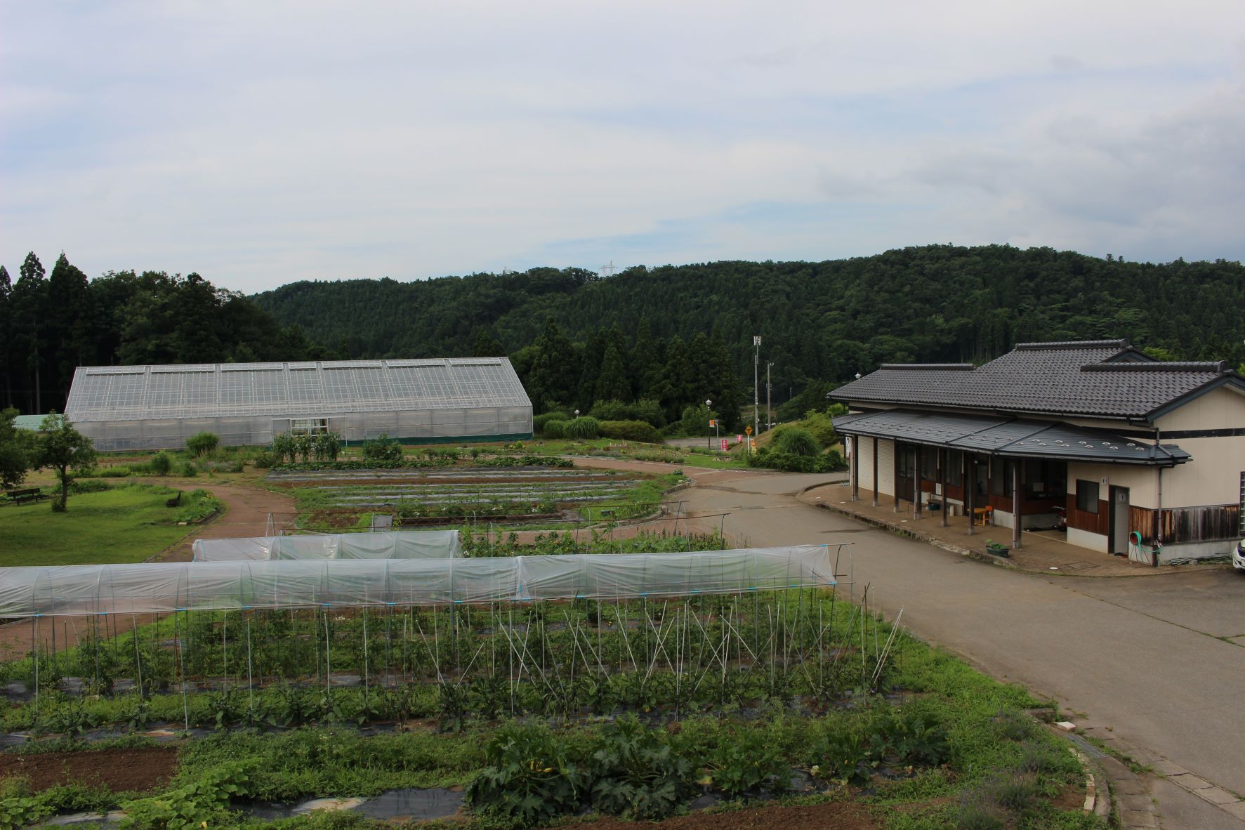 体験農園の全景